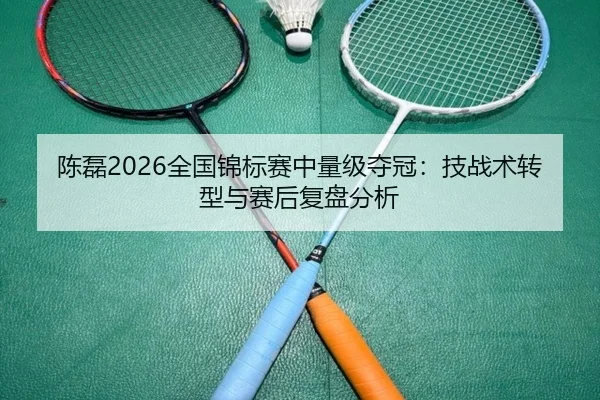 陈磊2026全国锦标赛中量级夺冠：技战术转型与赛后复盘分析